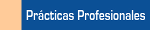 Prácticas Profesionales
