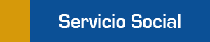 Servicio Social