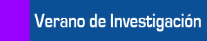 Veranos de Investigación
